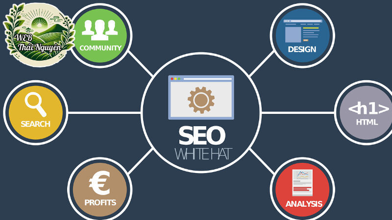 Các Bước Thiết Kế Website Chuẩn SEO